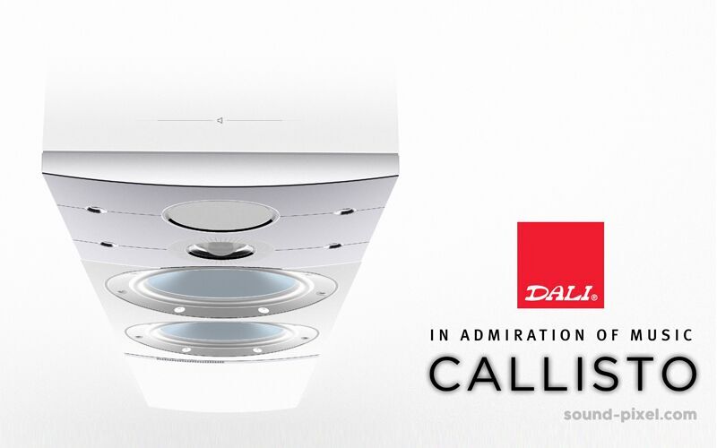 DALI CALLISTO - Altavoz Activo con Sound Hub HiFi Europea